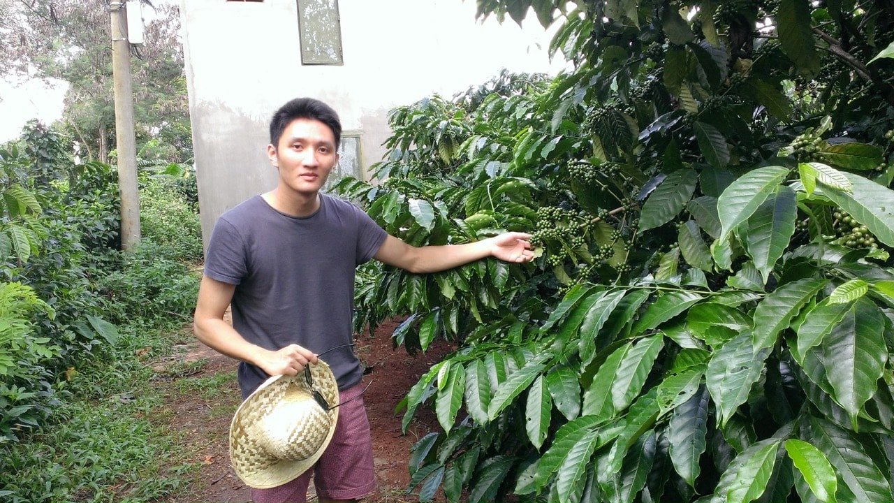 Vu Tuan Anh (Tony)